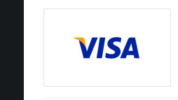 Visa Launches Token Service to Secure Online Payments