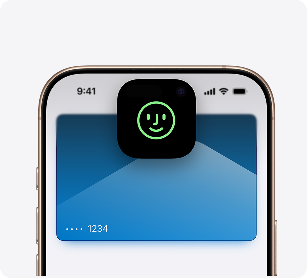 Apple Pay security
