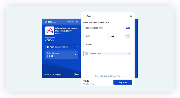 Add card details like card number, expiry, cvv and click on the pay now button