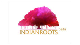 NDTV Launches E-Commerce Platform Indianroots.com