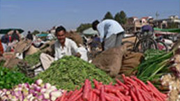 Online Agriculture Marketplace
