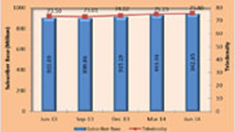 Expanding mobile payment services - the role of vernacular language applications