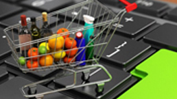 Online Grocery Business in India- Which Model Will Succeed?