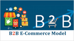All You Need To Know About B2B Ecommerce Models