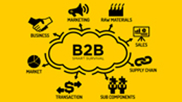 B2B vertical e-commerce - the strategy for smart survival